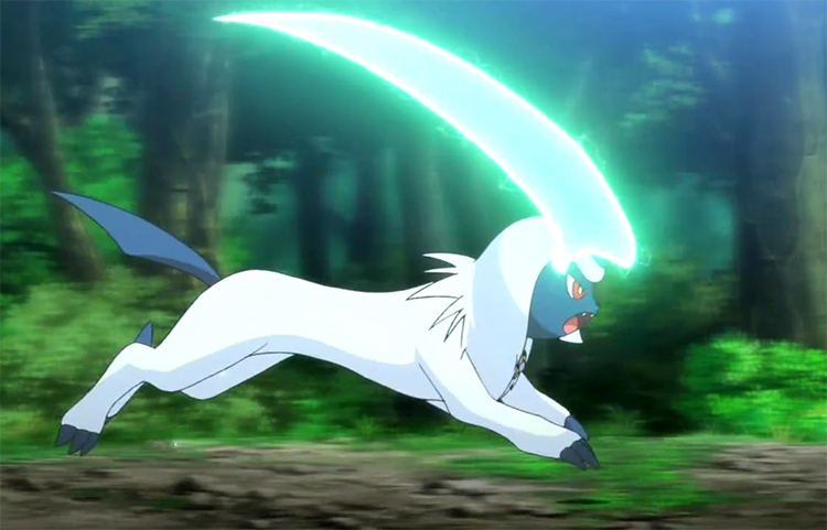 Absol In The Pokemon Anime